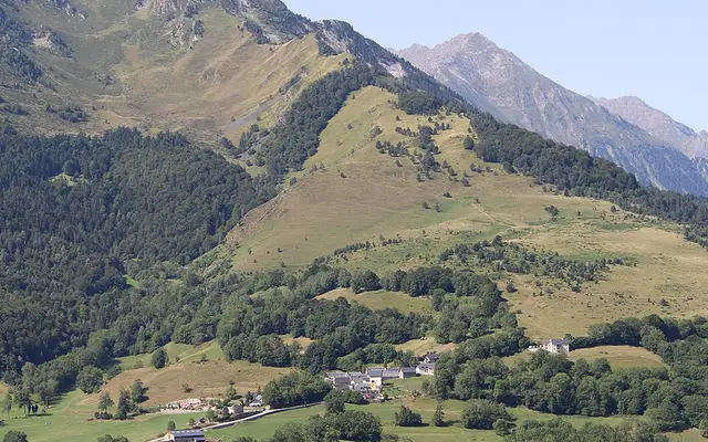 Prats i pastures